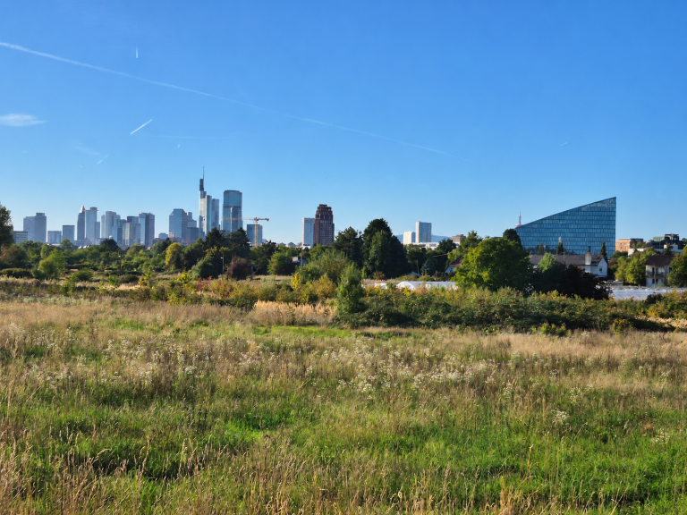 Blick Richtung Frankfurter Skyline